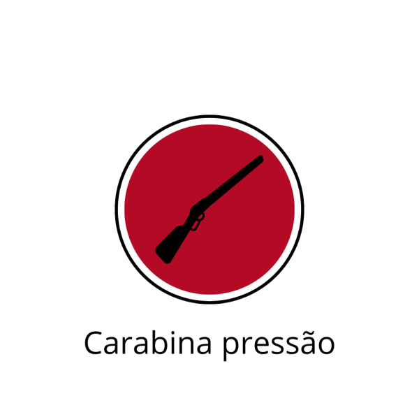 Carabina de pressão